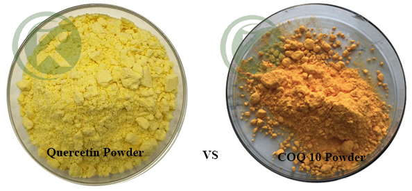 What is the difference between COQ 10 and quercetin powder?