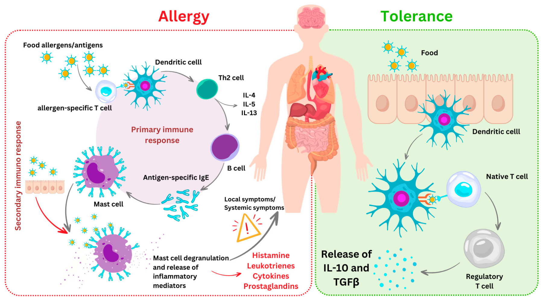 allergy