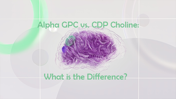 ఆల్ఫా GPC మరియు CDP కోలిన్: తేడా ఏమిటి?