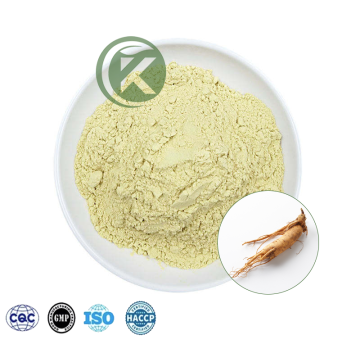 American Ginseng Extract Powder