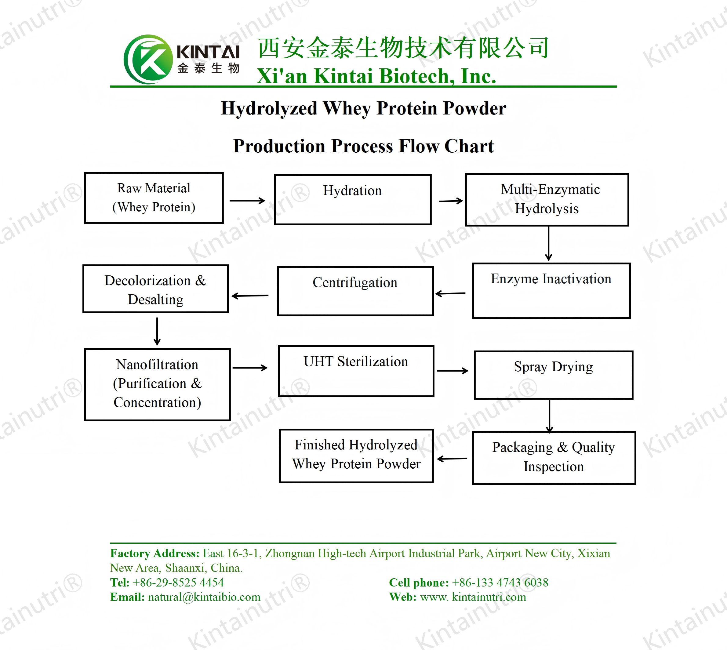 Hydrolyzed Whey Protein Powderproduction process flow chart