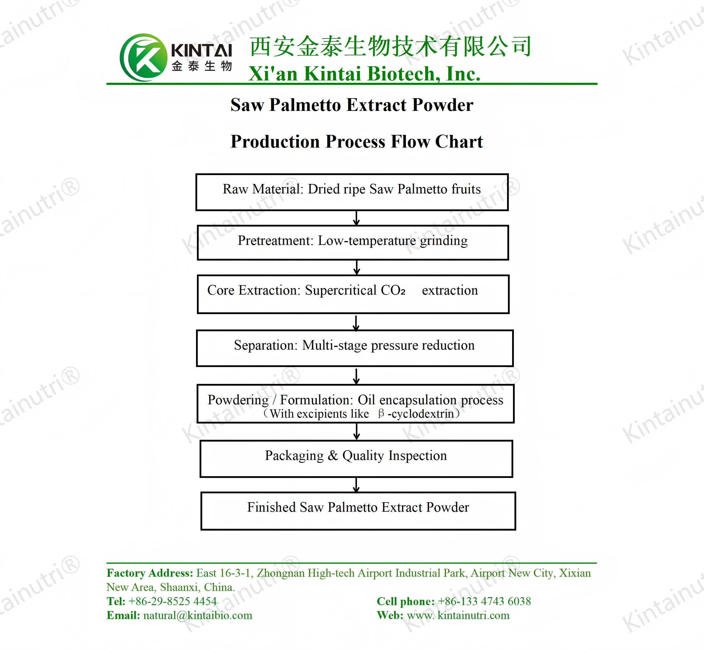 saw palmetto extract powder production process flow chart