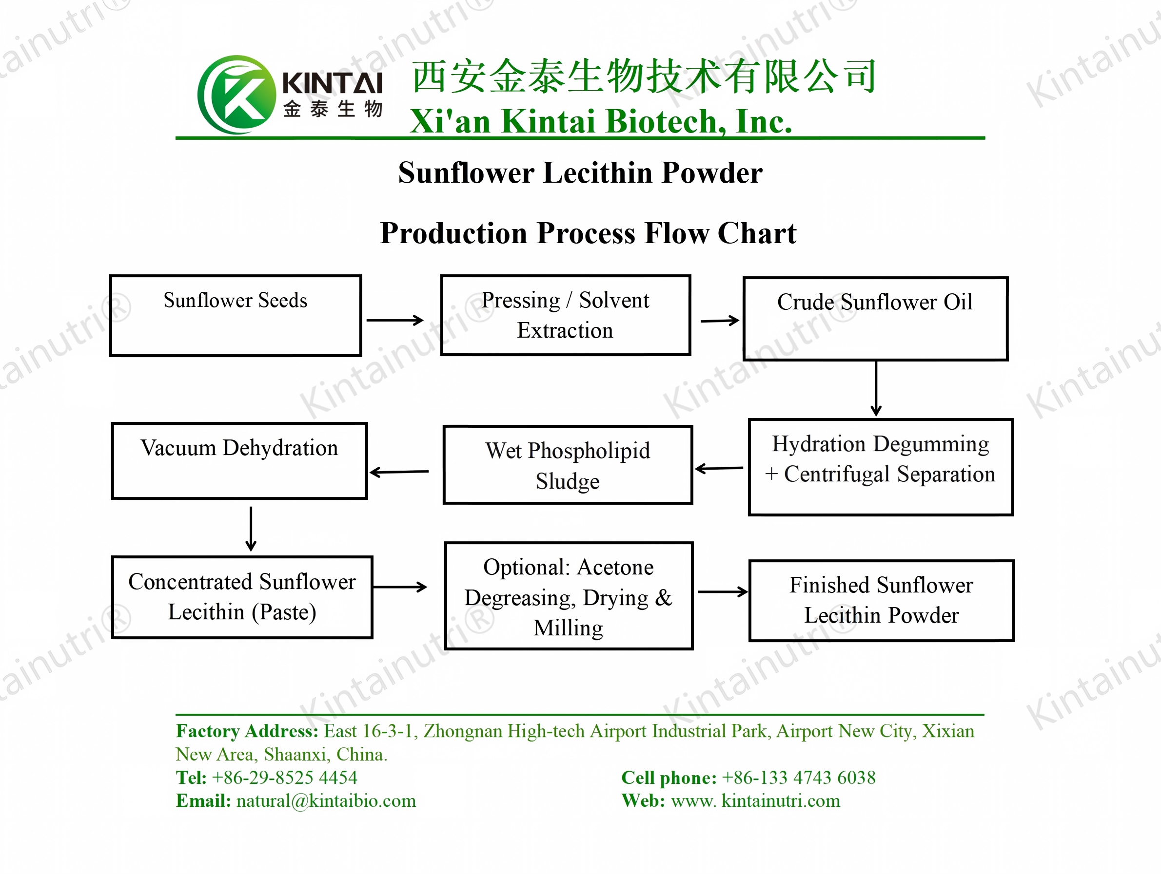 sunflower lecithin powder production process flow chart పొద్దుతిరుగుడు లెసిథిన్ పౌడర్ ఉత్పత్తి ప్రక్రియ ఫ్లో చార్ట్