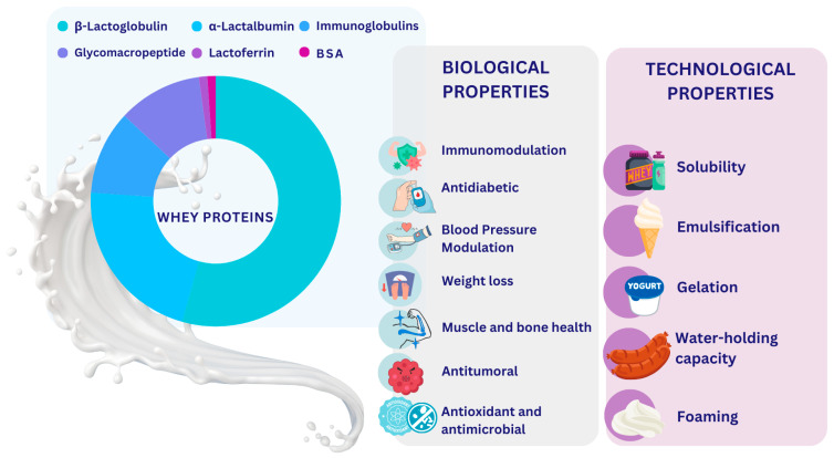 Whey proteins and main biological and technological properties
