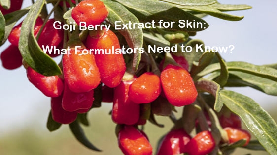 Goji Berry Extract for Skin: What Formulators Need to Know?