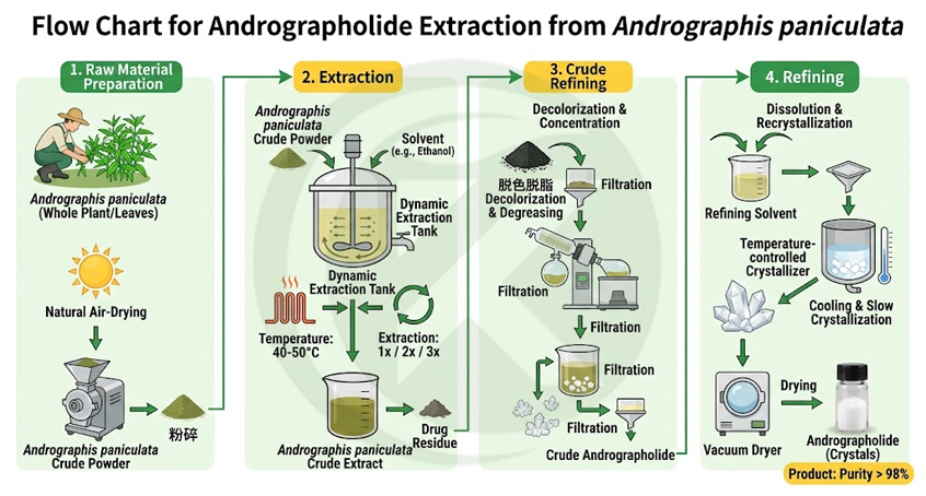 Procédé de production de poudre d'andrographolide extrait d'Andrographis paniculata