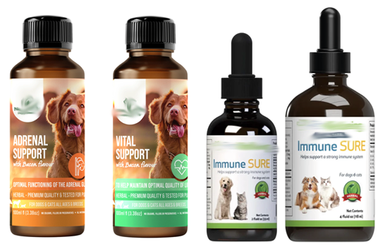 Poudre d'andrographolide pour animaux de compagnie