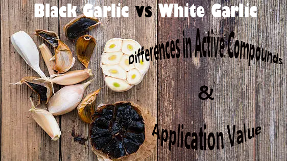 Black Garlic vs White Garlic: Differences in Active Compounds & Application Value