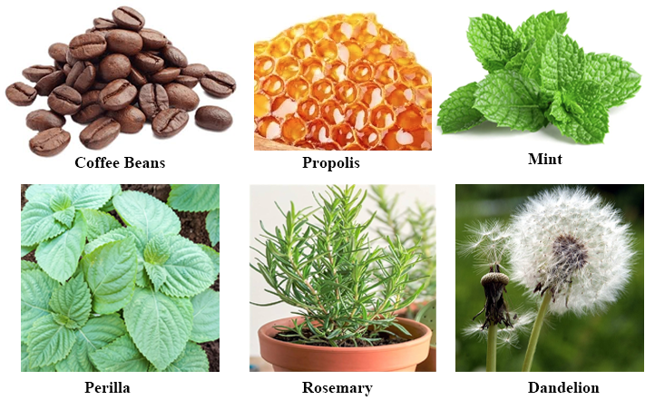 Sources alimentaires d'acide caféique