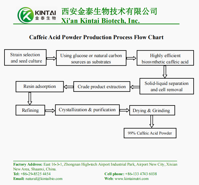 Diagramme de flux du processus de production de poudre d'acide caféique