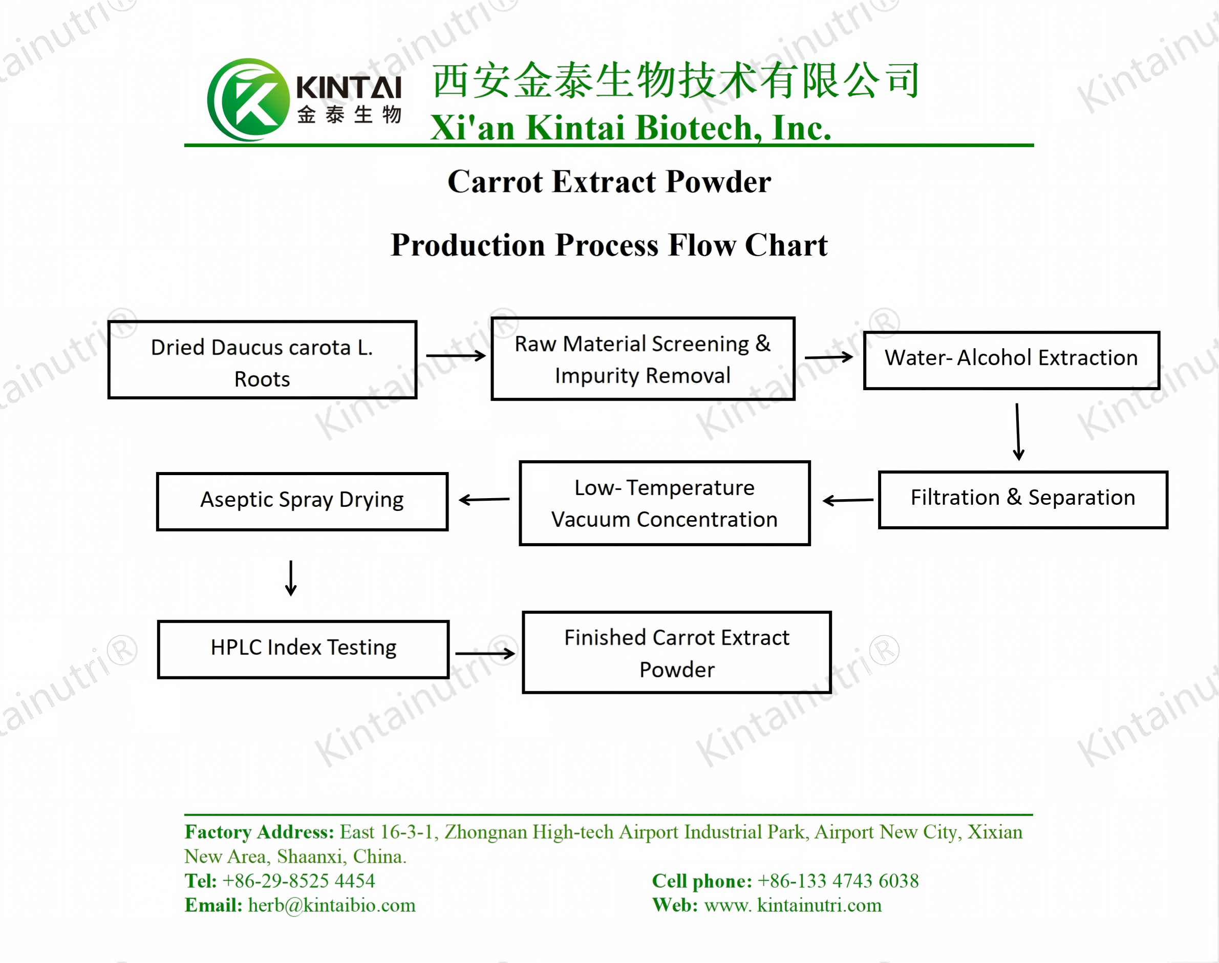 Diagramma di flusso del processo di produzione della polvere di estratto di carota