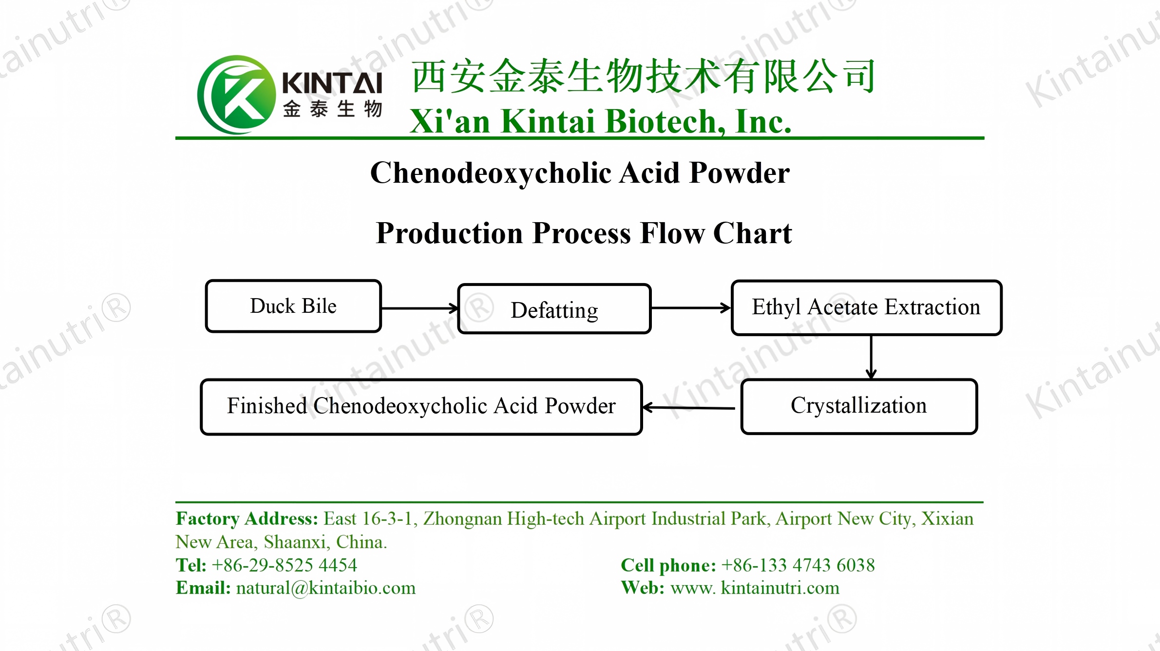 Diagrama de flujo del proceso de producción de polvo de ácido quenodesoxicólico