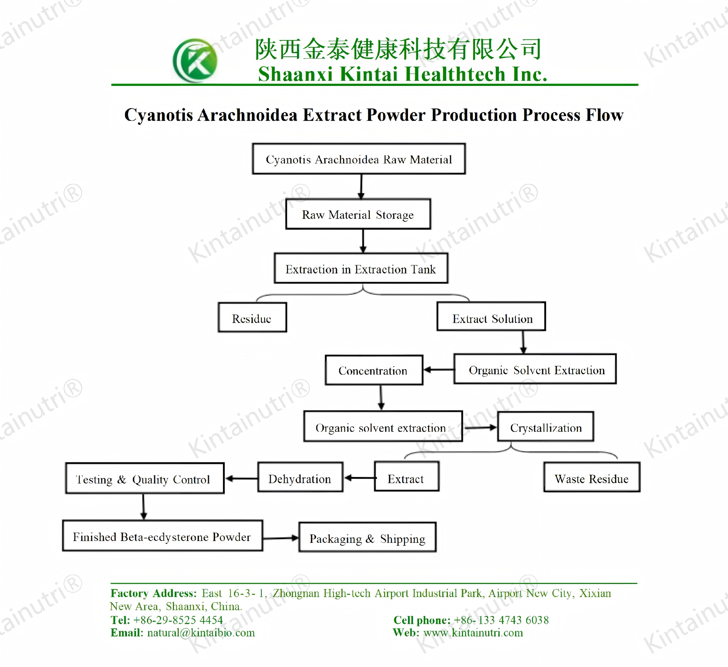 Cyanotis Arachnoidea Extract Powder Production Process Flow