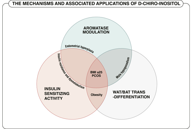 Beneficios del D-Chiro-inositol para el síndrome de ovario poliquístico (SOP)