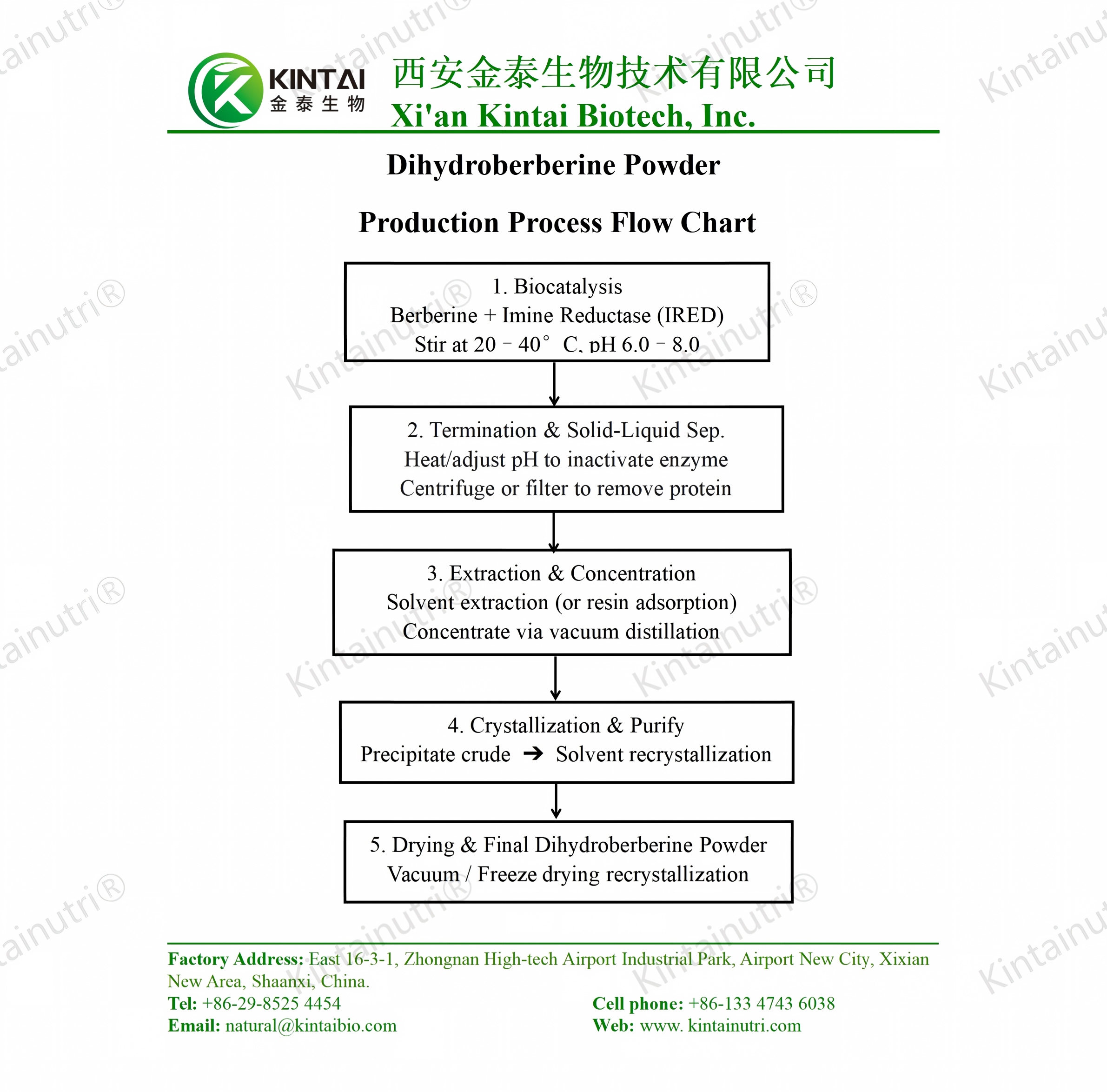 Diagrama de flujo del proceso de producción de polvo de dihidroberberina