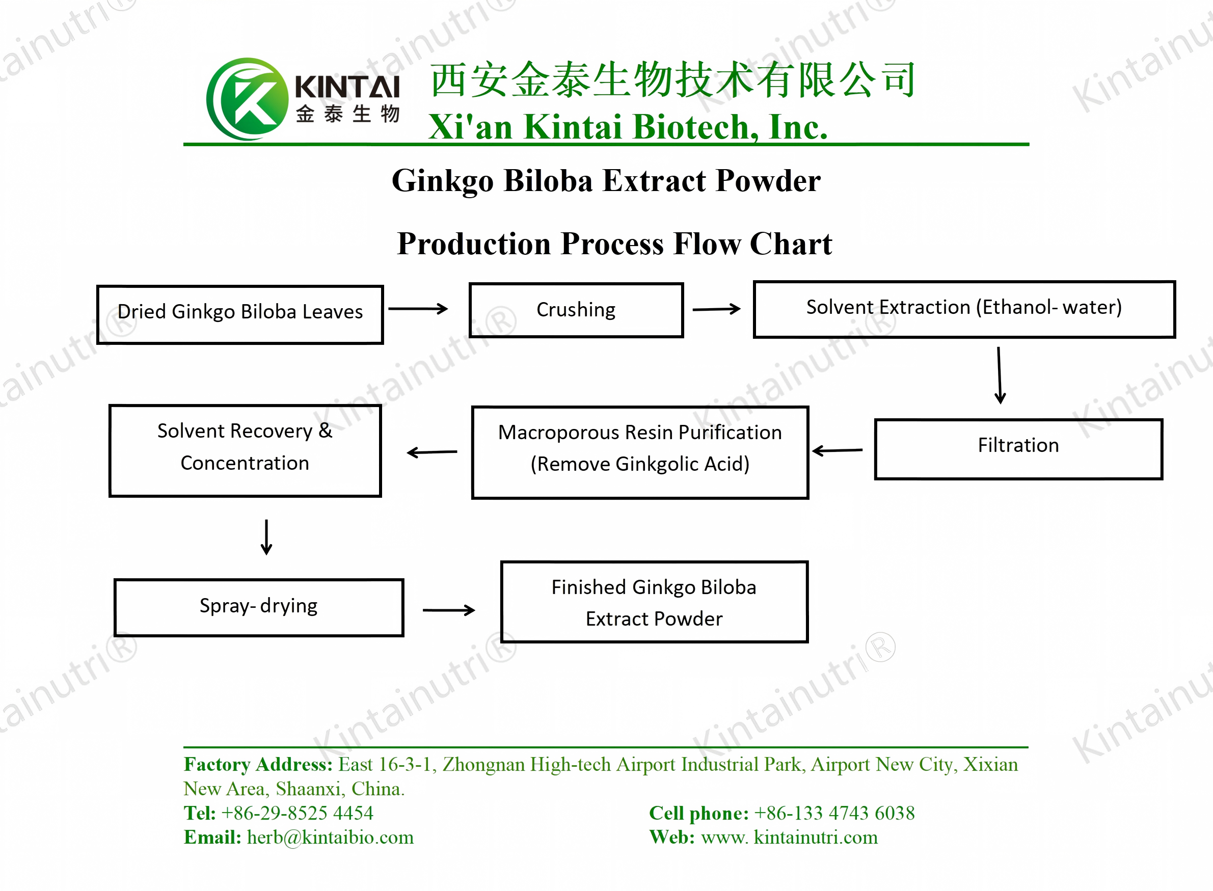 Ginkgo Biloba Extract Powder Production Process Flow Chart តារាងលំហូរដំណើរការផលិតម្សៅចំរាញ់ចេញពី Ginkgo Biloba