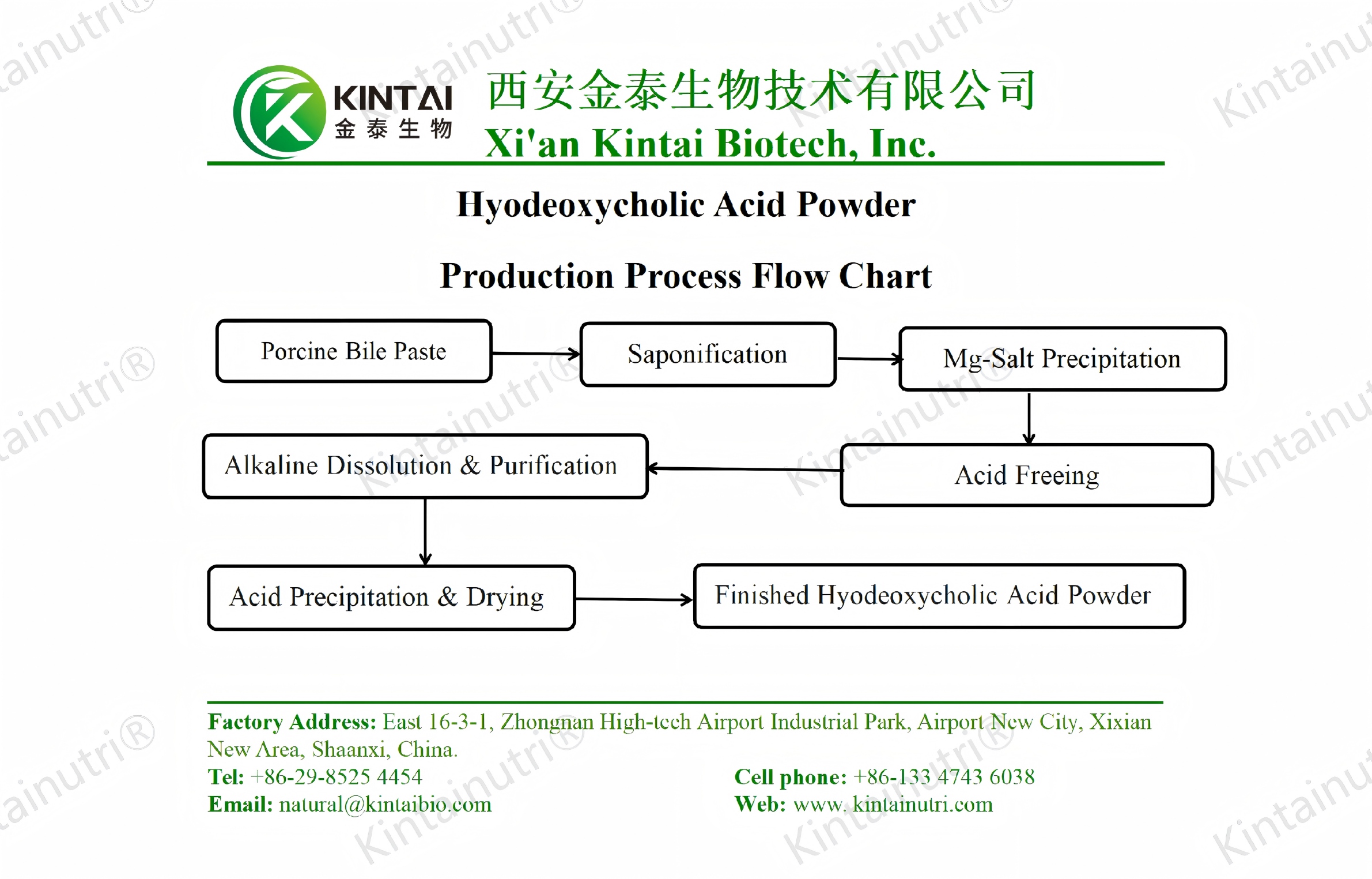 hyodeoxycholic acid powder production process flow chart