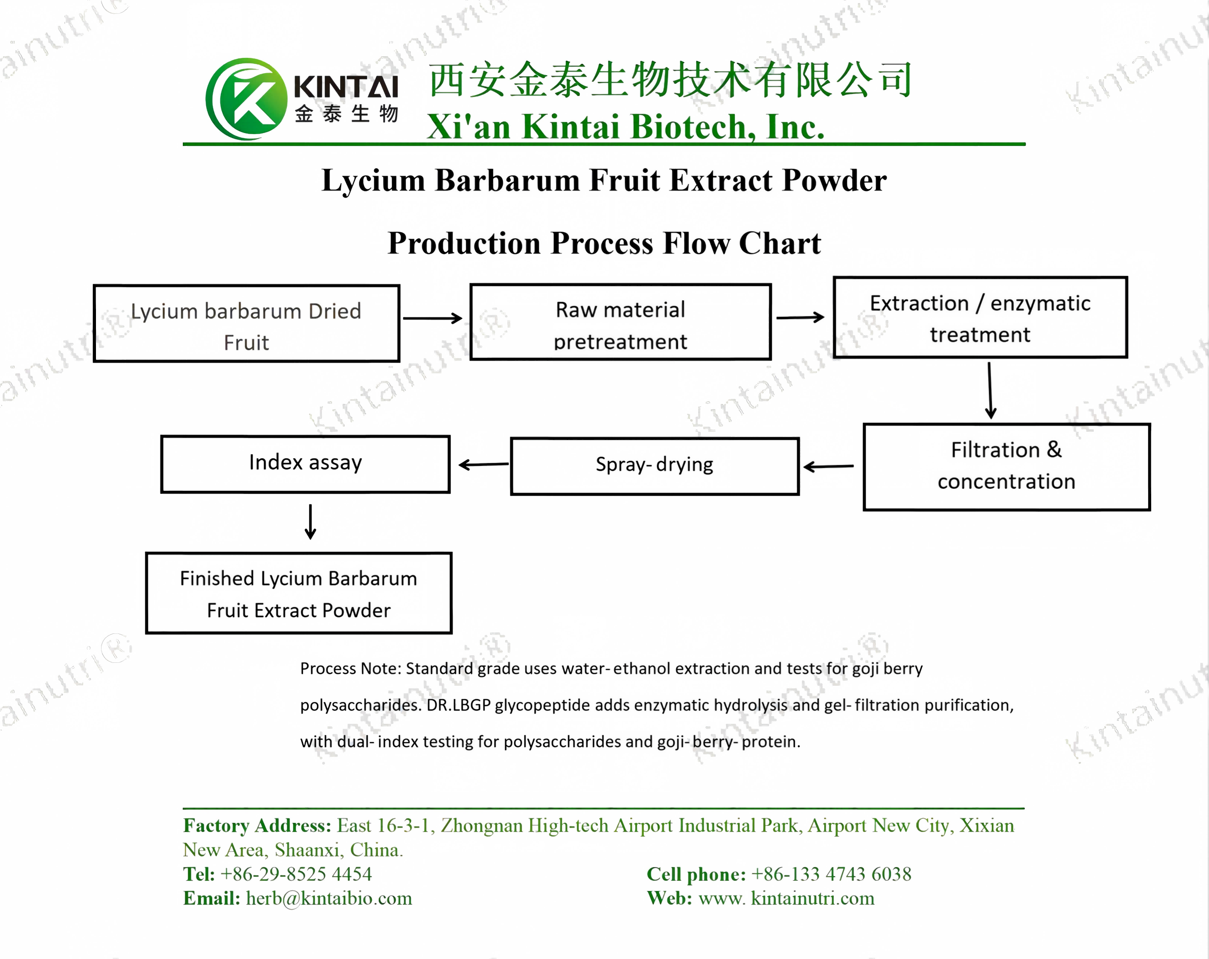 Lycium Barbarum Fruit Extract Powder Production Process Flow Chart