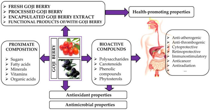 Lycium Barbarum Fruit Extract for Antioxidant & Immune Support
