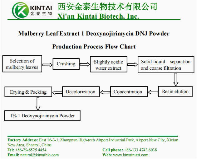 Diagramme de flux du processus de production de l'extrait de feuille de mûrier 1 Déoxynojirimycine DNJ en poudre