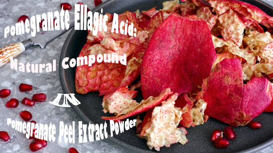 Pomegranate Ellagic Acid: Natural Compound in Pomegranate Peel Extract Powder