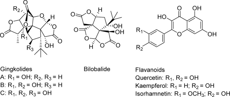 Efectos prácticos del extracto estandarizado de Ginkgo Biloba en polvo