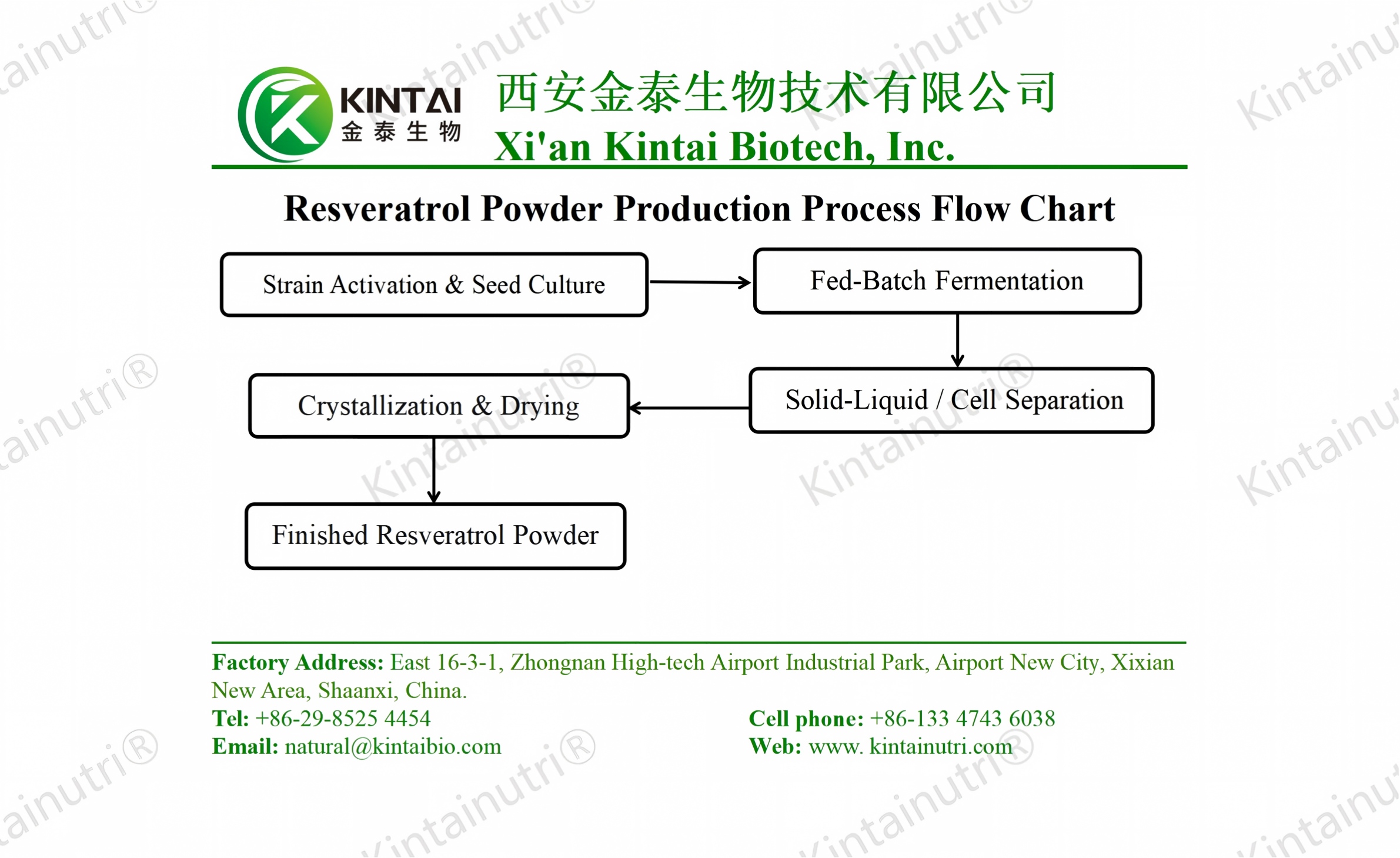 resveratrol powder production process flow chart