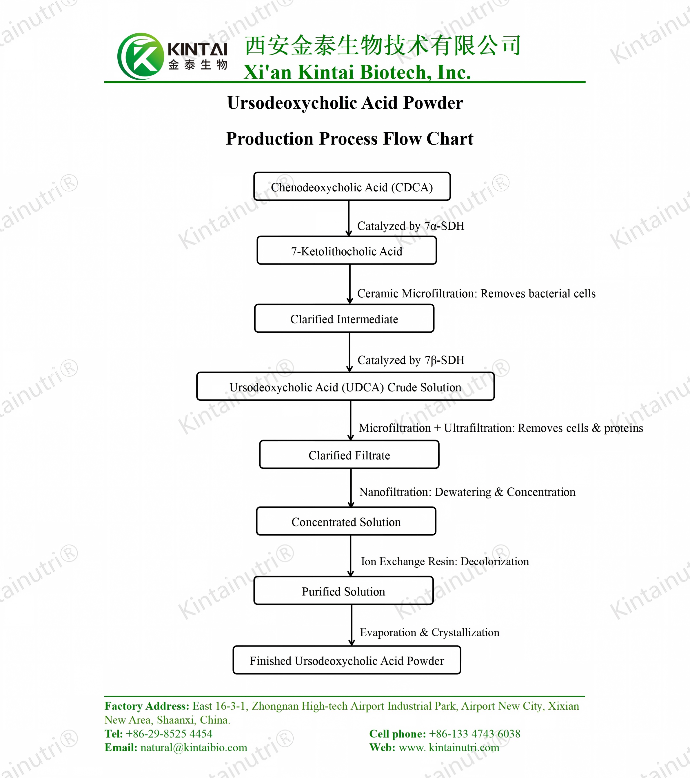 ursodeoxycholic acid powder production process flow chart Diagrama de flujo del proceso de producción de ácido ursodesoxicólico en polvo
