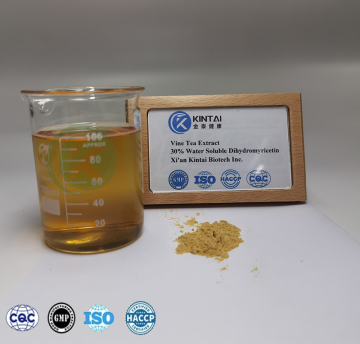 Vine Tea Extract Dihydromyricetin