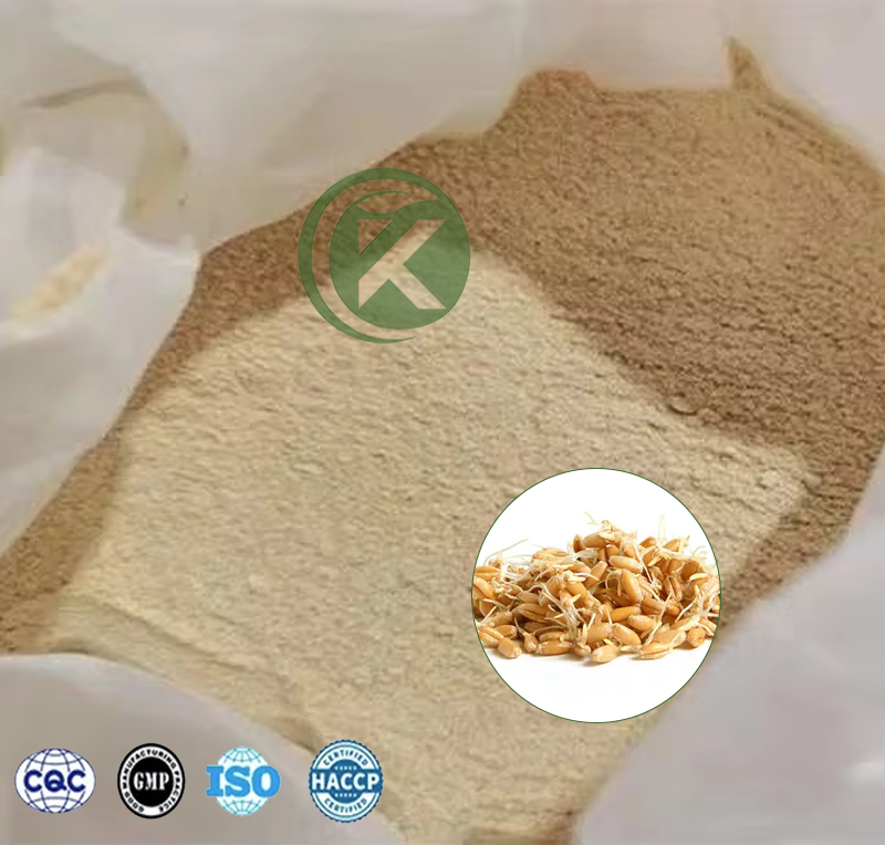 Extracto de germen de trigo.png