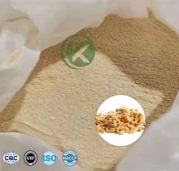 Wheat Germ Extract Powder