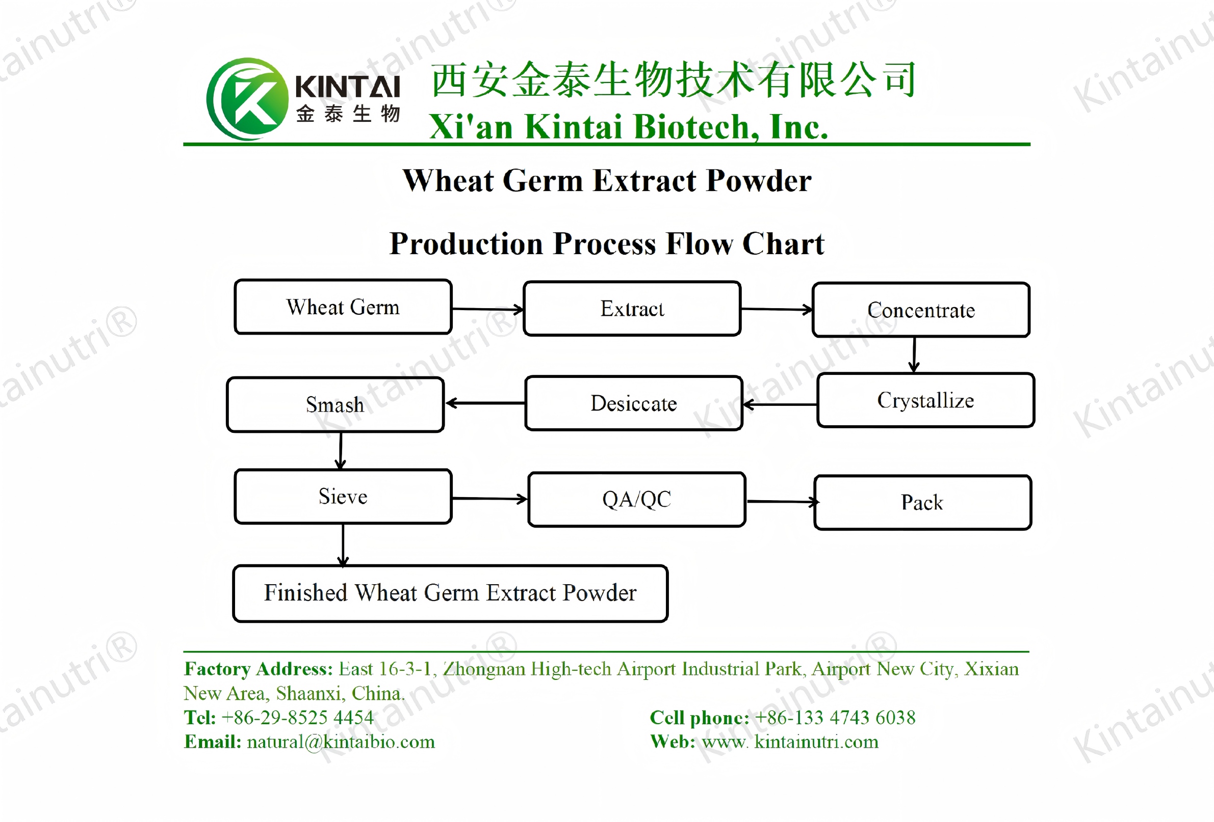 wheat germ extract powder production process flow chart