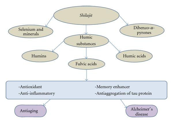 Antioxidant and Cellular Homeostasis