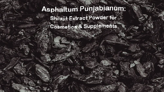 Asphaltum Punjabian: Poda ya Dondoo ya Shilajit kwa Vipodozi na Virutubisho