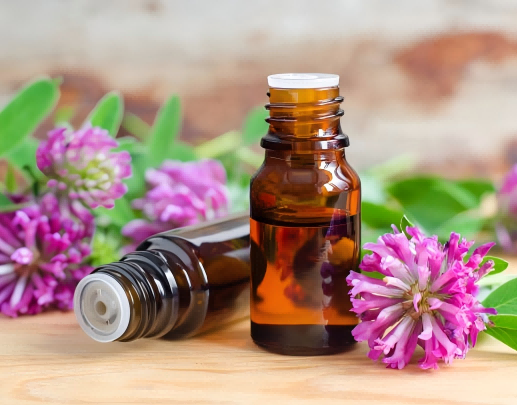 Cross-Application Potential of Red Clover Extract Potencial de aplicación cruzada del extracto de trébol rojo