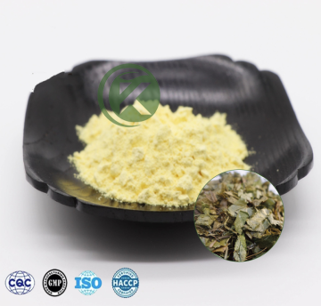 Epimedium Extract Powder