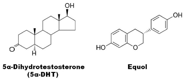 equol prostate