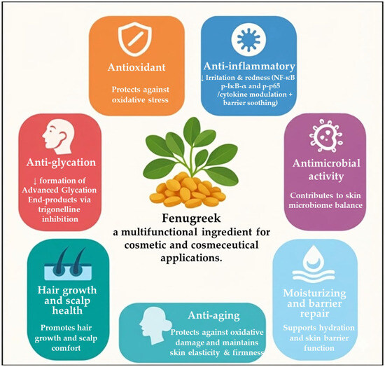 Fenugreek Extract For Hair