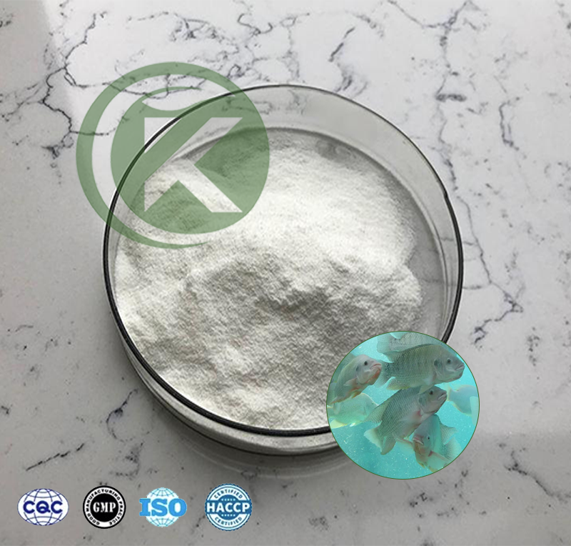 Fish Collagen Peptide Powder.png