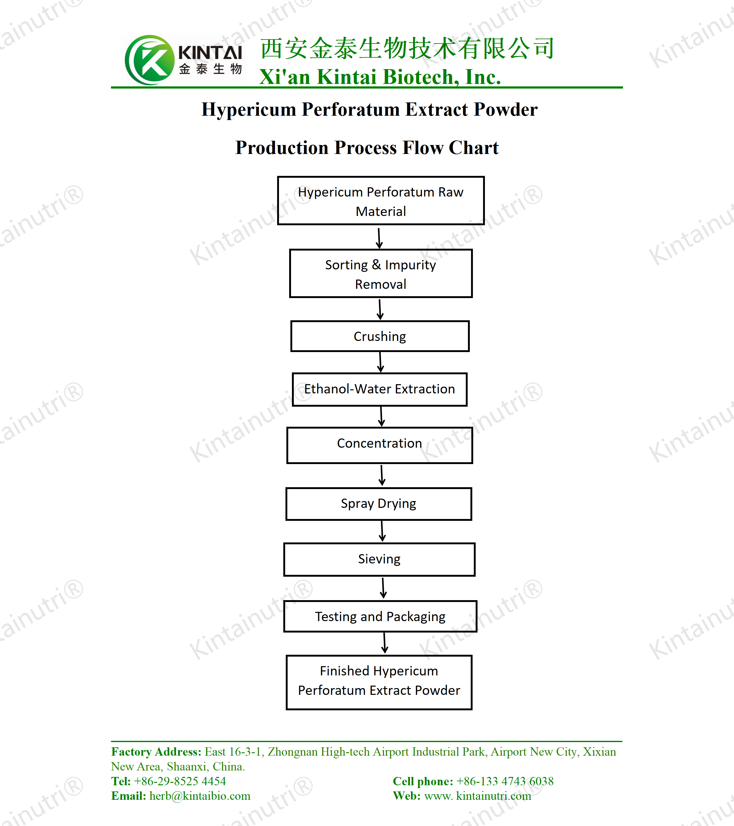 How To Make Hypericum Perforatum Extract Powder