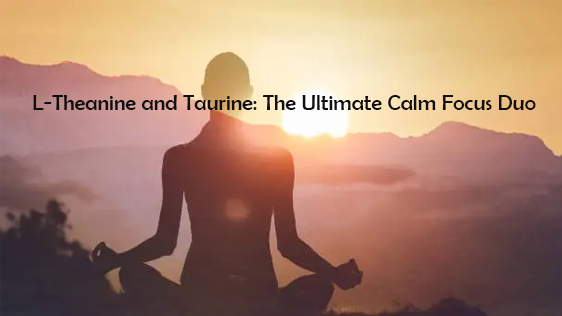 L-Theanine na Taurine: Wawili wa Utulivu wa Ultimate Focus