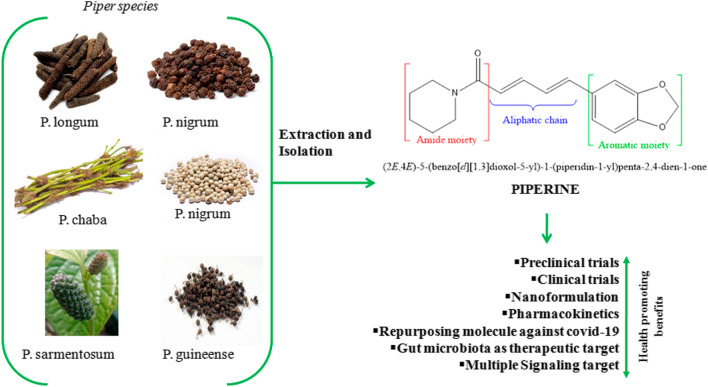 polvo de piperina