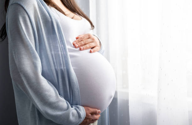 Rosemary Extract Pregnancy