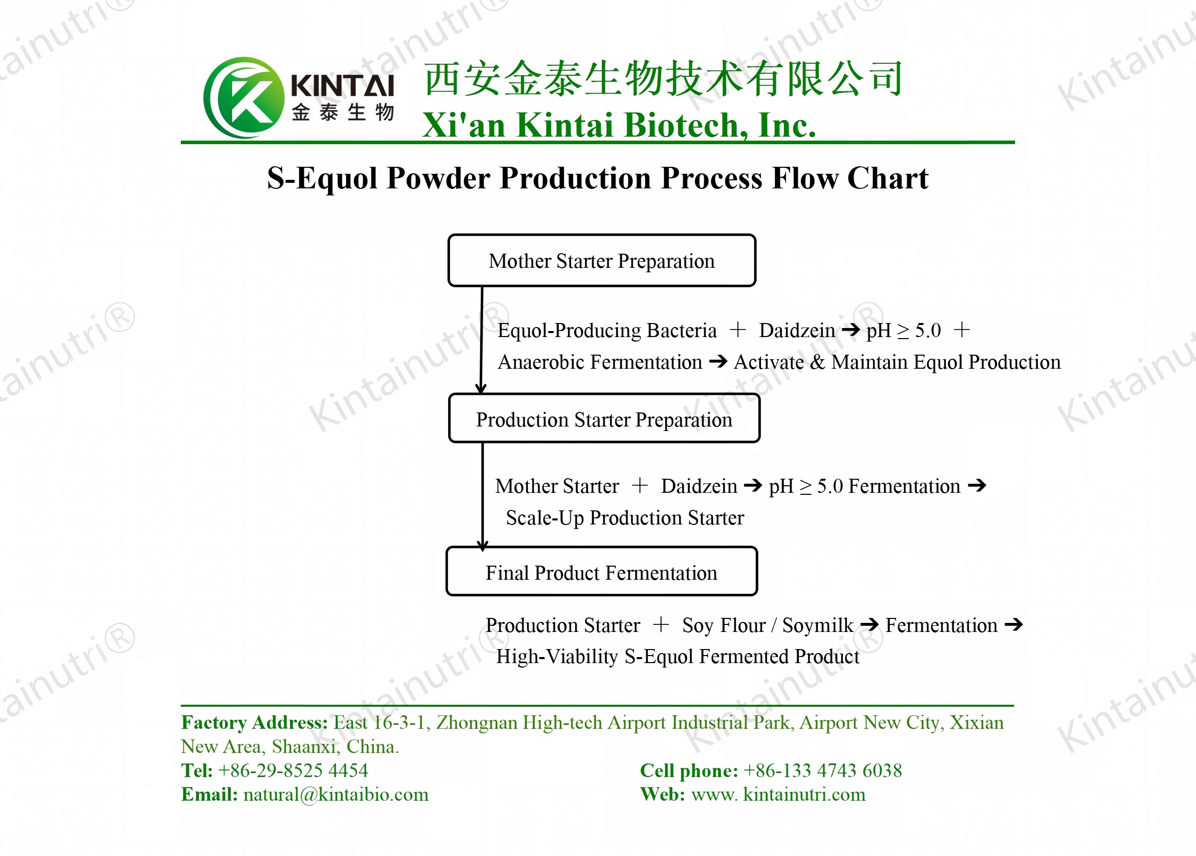 s-equol powder production process flow chart
