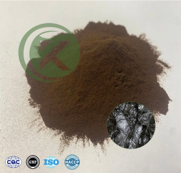 Shilajit-Extraktpulver