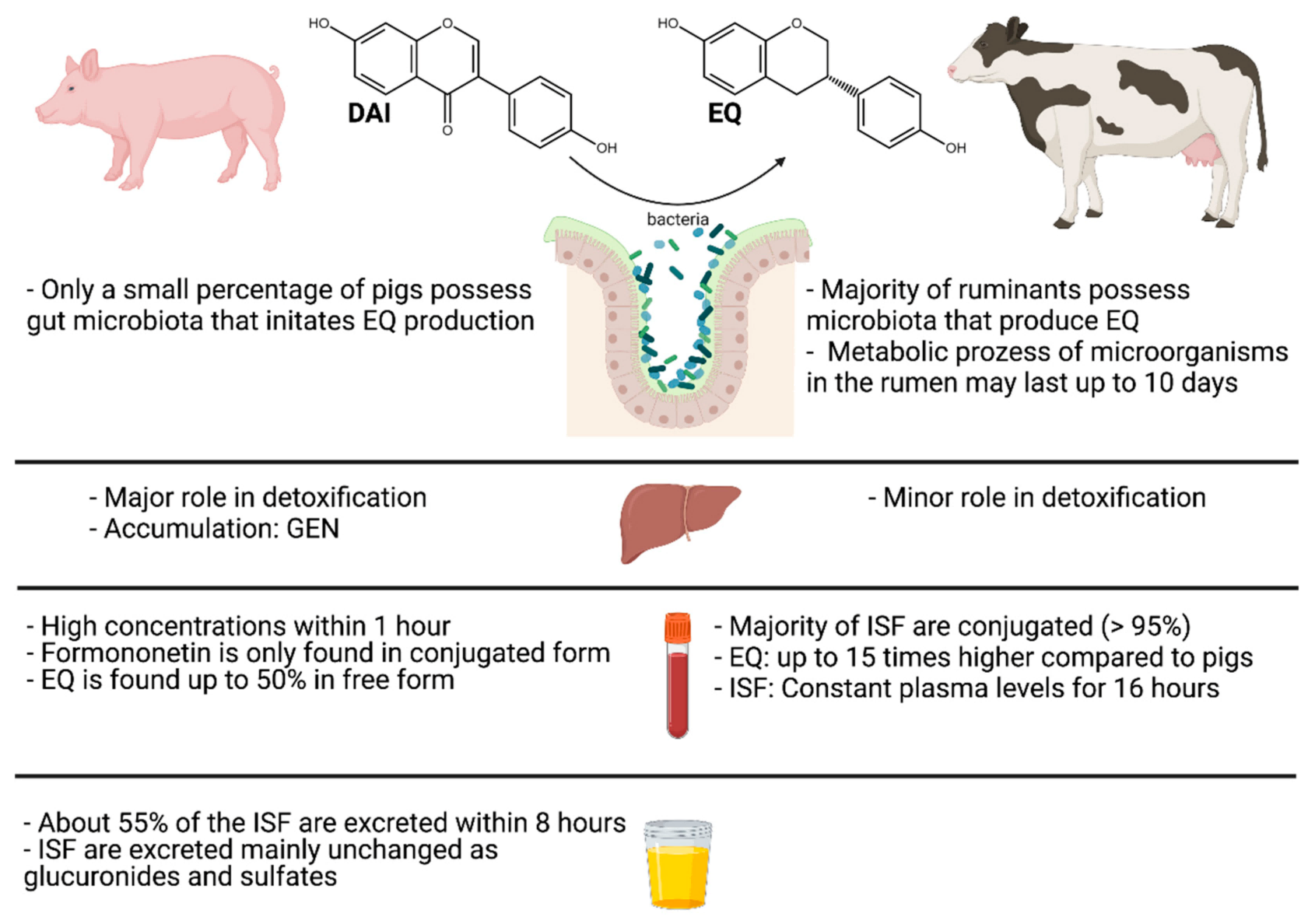 soy isoflavones in animals