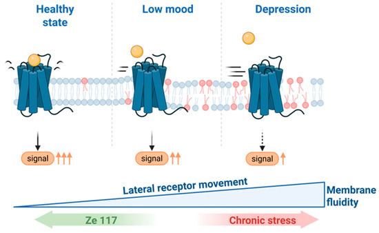 St John’s Wort Extract For Stress Relief