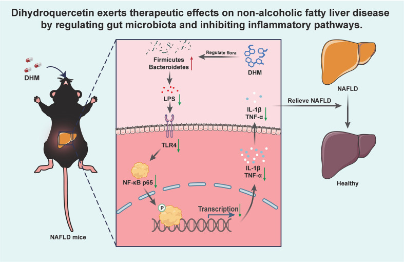 dihydromyricetin alcohol