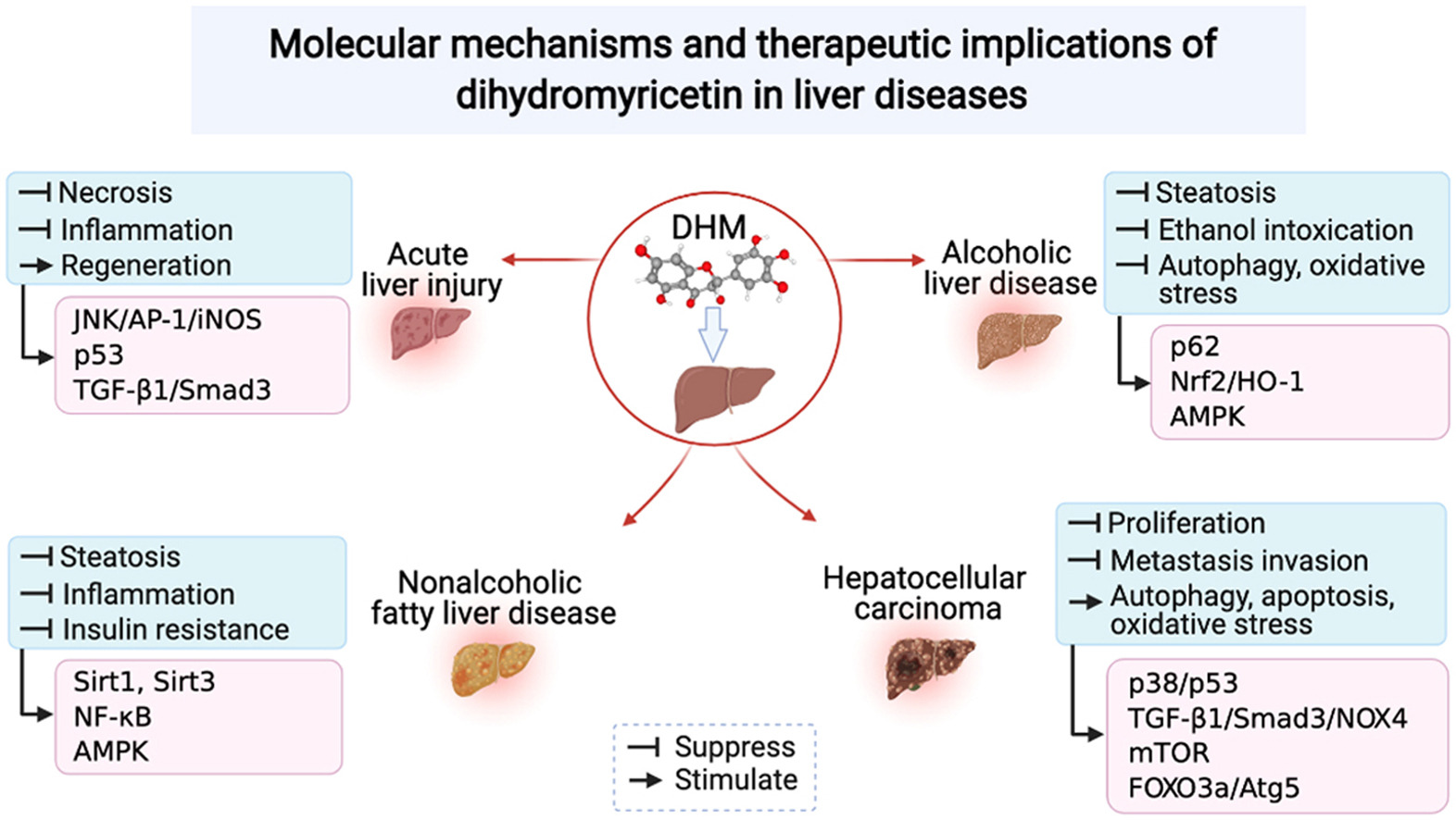 dihydromyricetin for liver