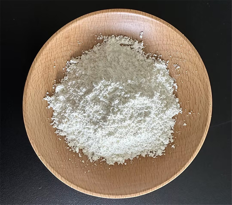 Dihydroquercetin Approved New Food Ingredient Launch and Industrial Development Seminar Held in Changchun (2).jpg